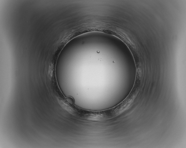 X0000116350458200912091133