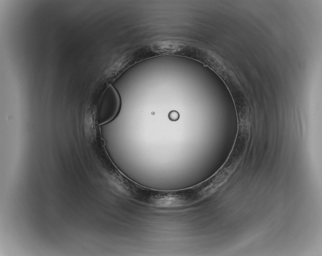 X0000116350460200912091133