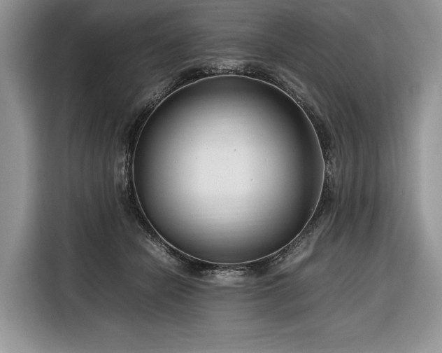 X0000116350462200912091133