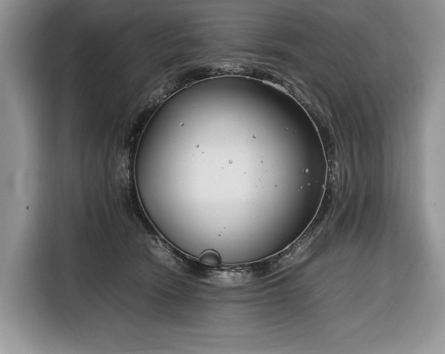 X0000116350466200912091133