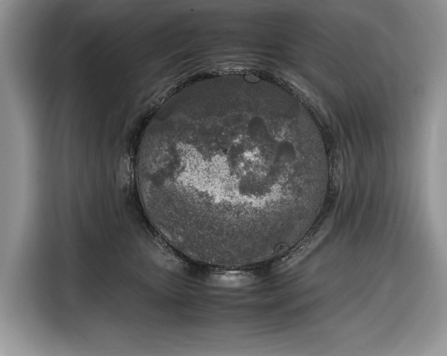 X0000116350467200912091133