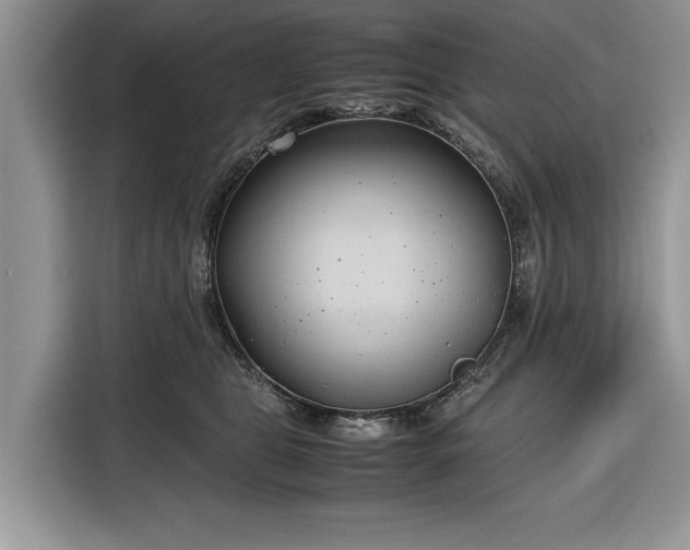 X0000116350469200912091133