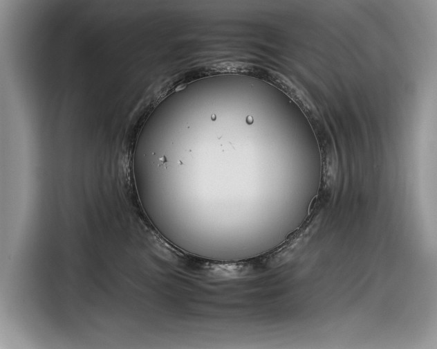 X0000116350473200912091133