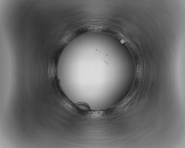 X0000116350474200912091133