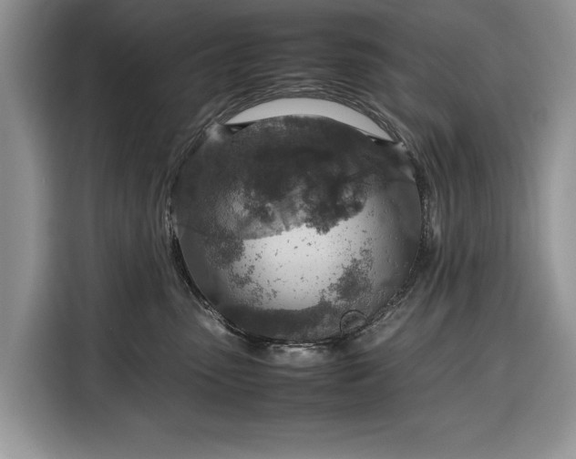 X0000116350475200912091133