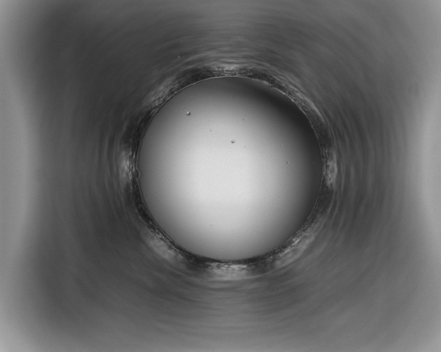 X0000116350476200912091133