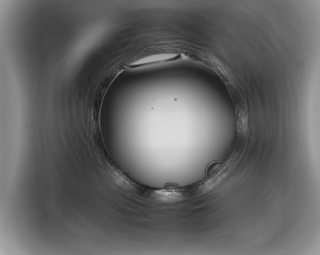 X0000116350477200912091133