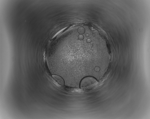 X0000116350479200912091133