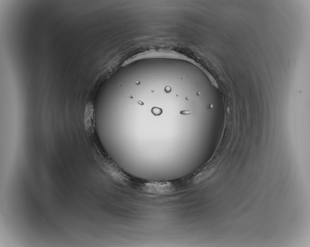 X0000116350480200912091133