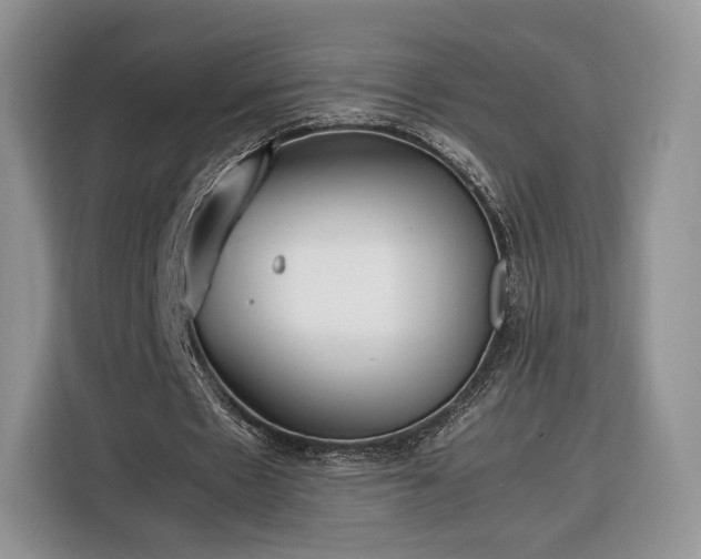 X0000116350481200912091133