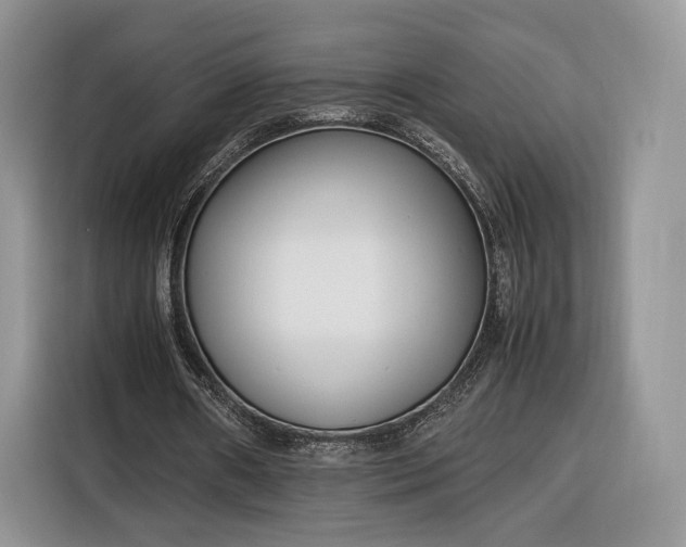 X0000116350482200912091133