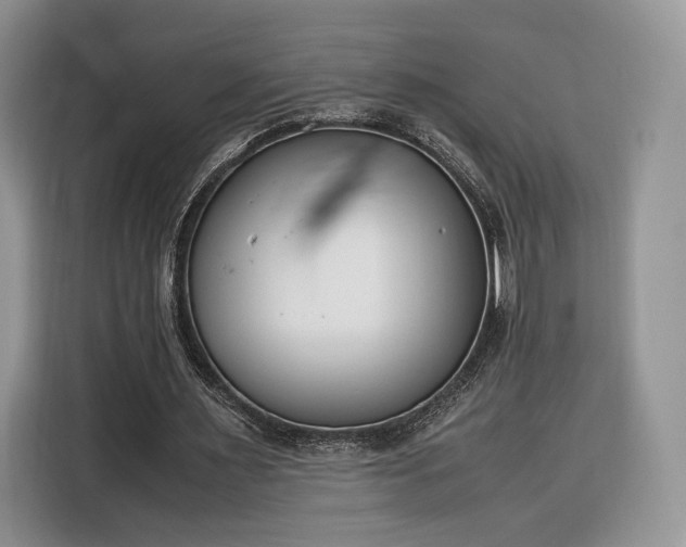 X0000116350483200912091133