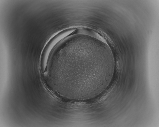 X0000116350484200912091133