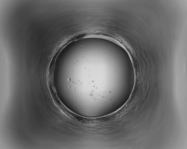 X0000116350485200912091133