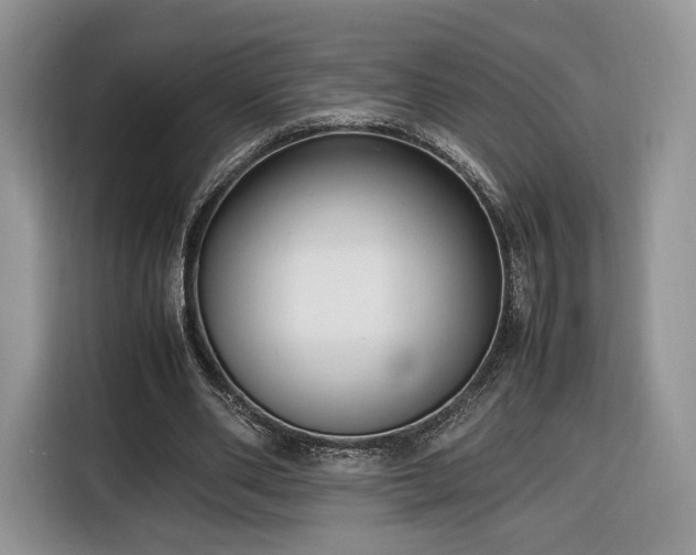 X0000116350486200912091133