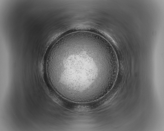 X0000116350487200912091133