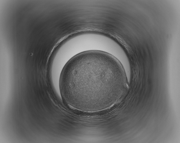 X0000116350488200912091133