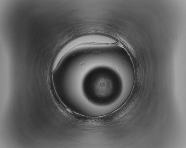 X0000116350489200912091133