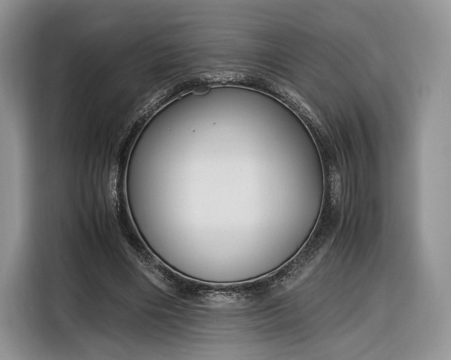 X0000116350490200912091133