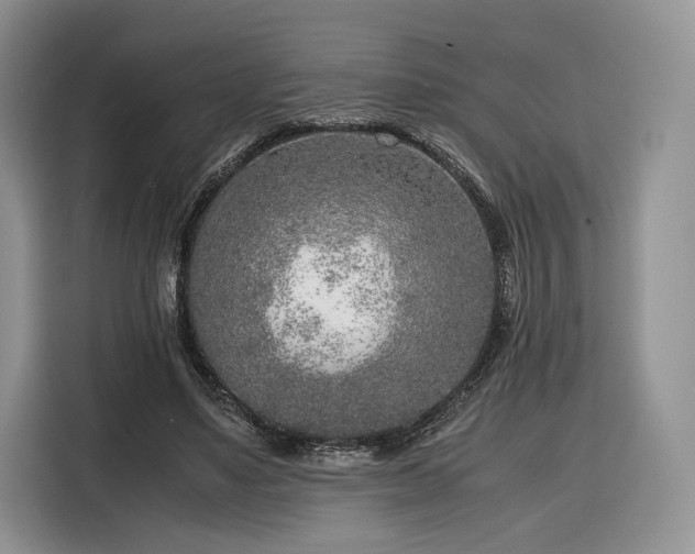 X0000116350491200912091133