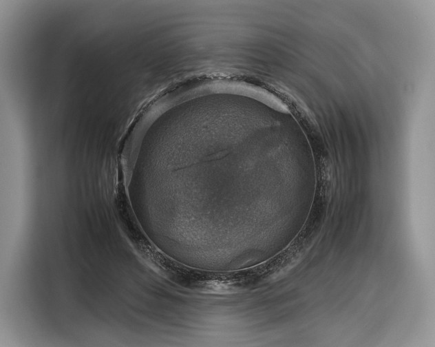 X0000116350496200912091132