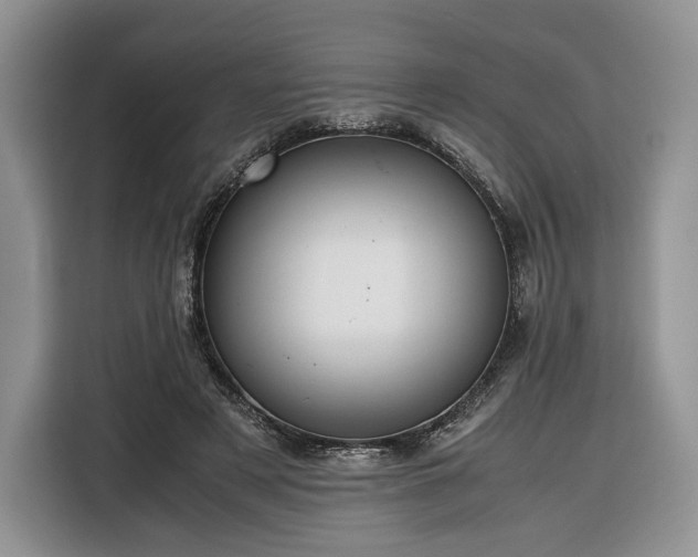 X0000116350497200912091132