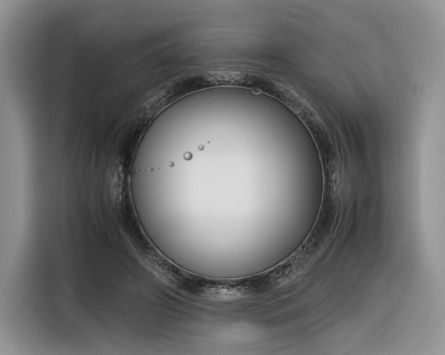 X0000116350498200912091132