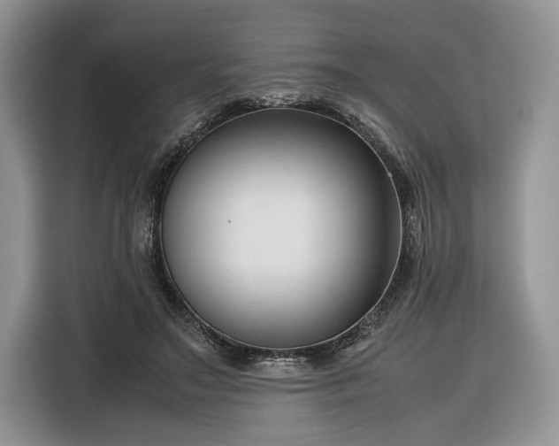 X0000116350499200912091132