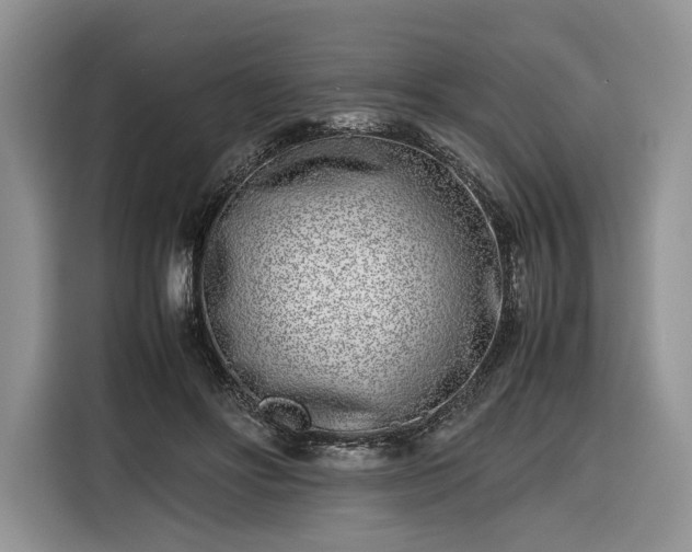 X0000116350502200912091132