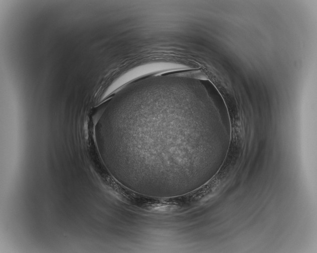 X0000116350504200912091132