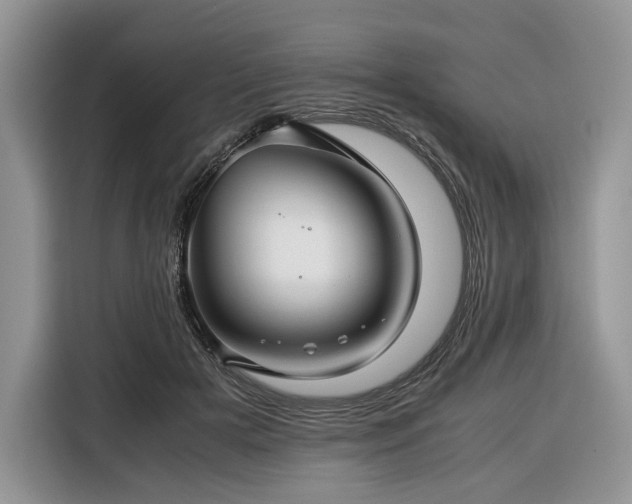 X0000116350505200912091132