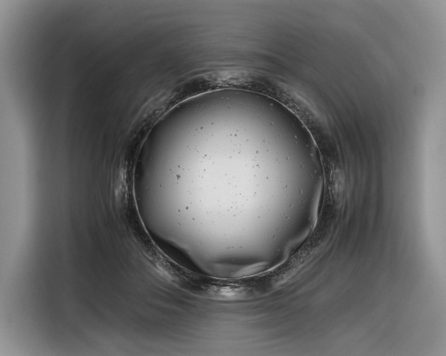 X0000116350506200912091132