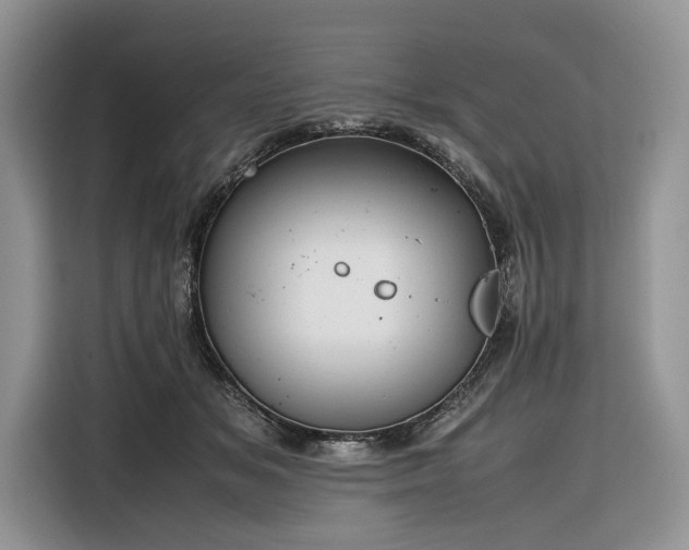 X0000116350509200912091132