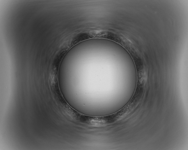 X0000116350515200912091132