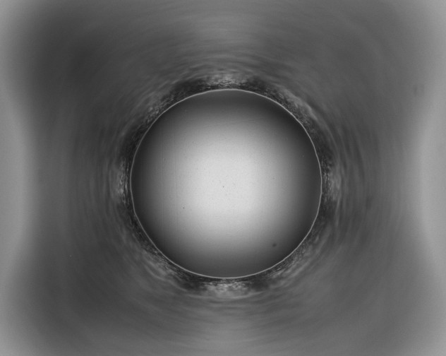 X0000116350517200912091132