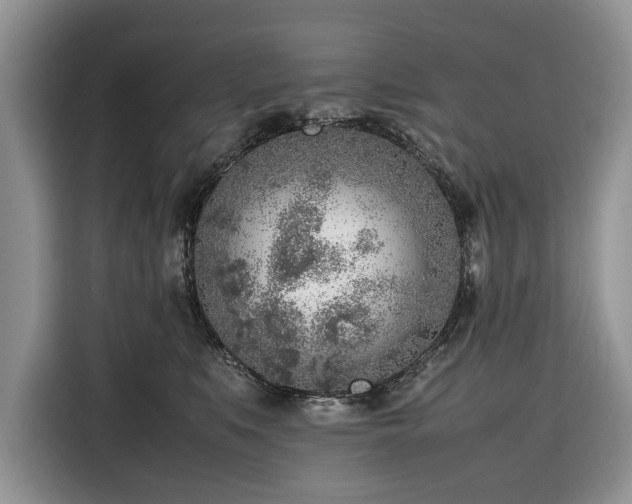 X0000116350519200912091132