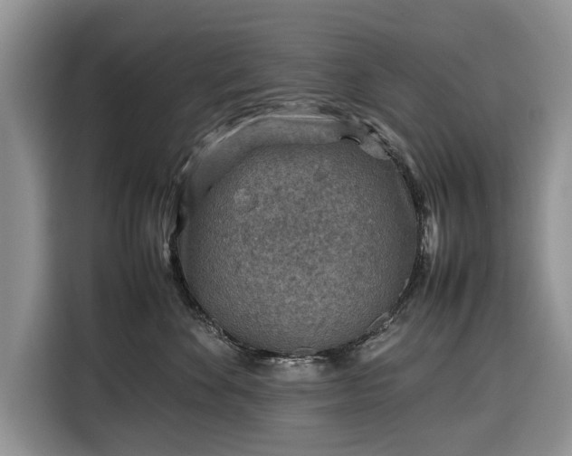 X0000116350524200912091132