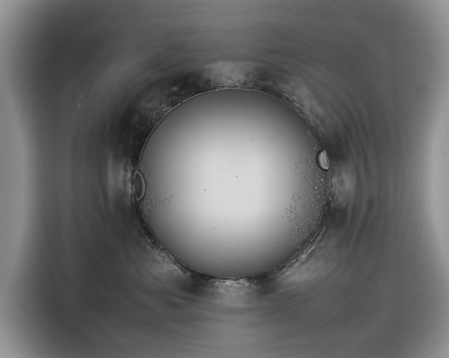 X0000116350525200912091132