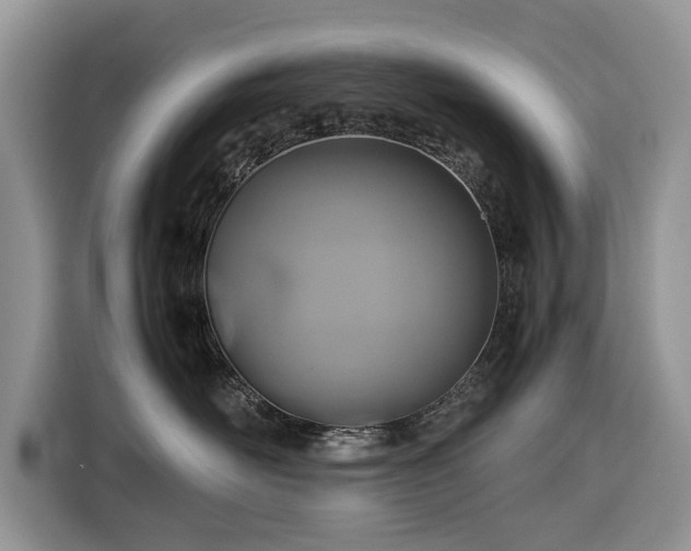 X0000116350526200912091132