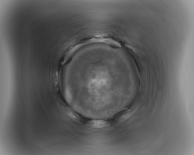 X0000116350528200912091132