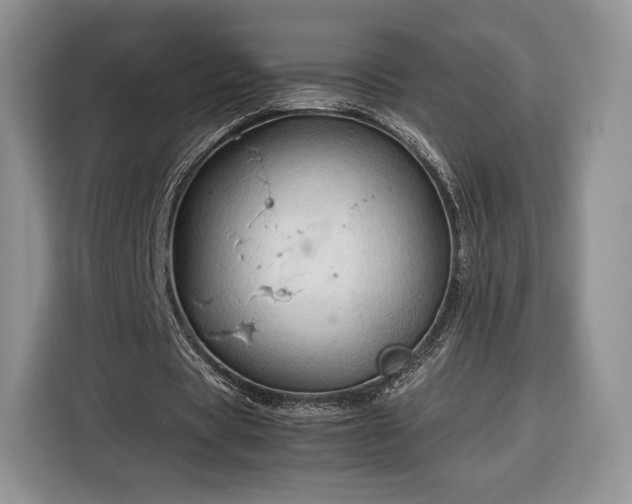 X0000116350529200912091131