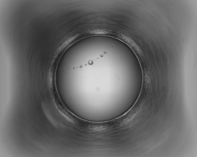 X0000116350533200912091131