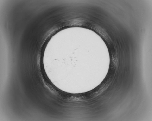 X0000116350534200912091131