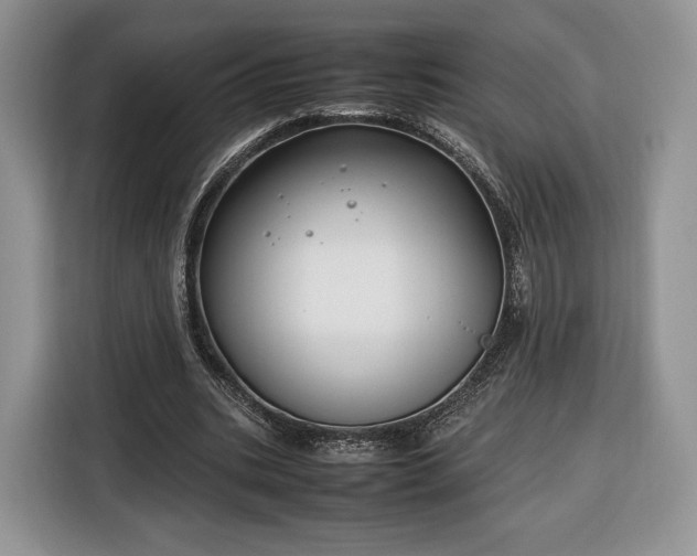 X0000116350535200912091132