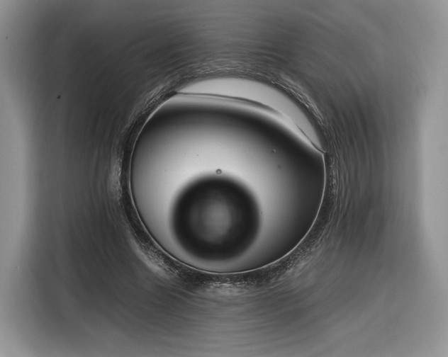 X0000116350538200912091132