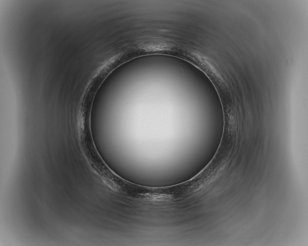 X0000116350539200912091132