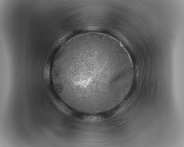 X0000116350542200912091132