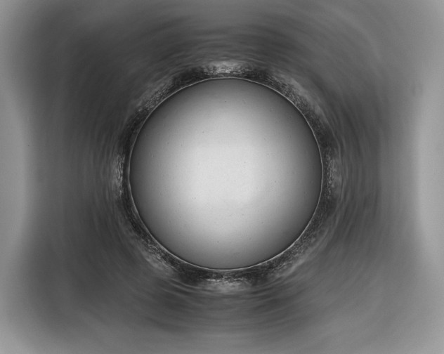 X0000116350545200912091132