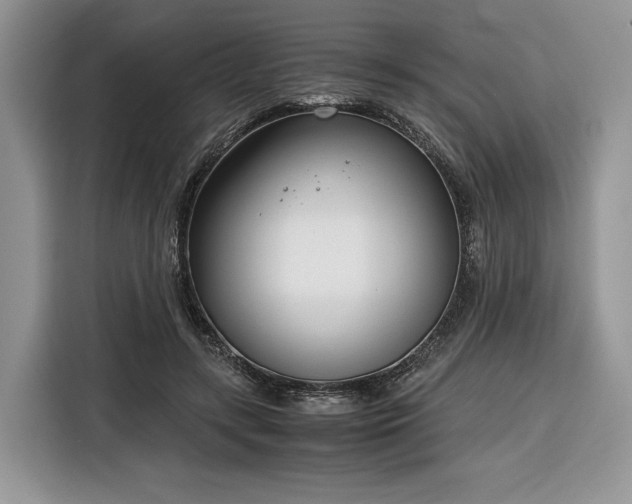 X0000116350547200912091132