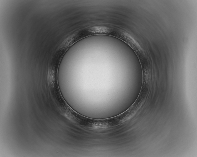 X0000116350549200912091132